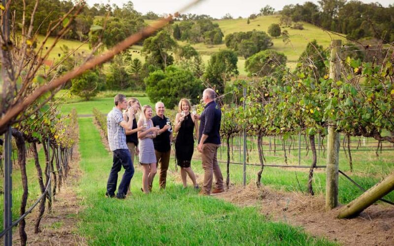Brisbane: Wine & Dine In The Vines - What You Can Expect from the Tour