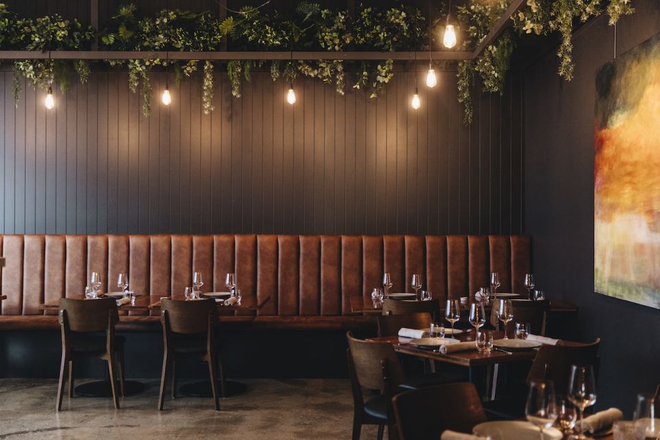 Brisbane: Wine & Food Pairing Experience - Key Points
