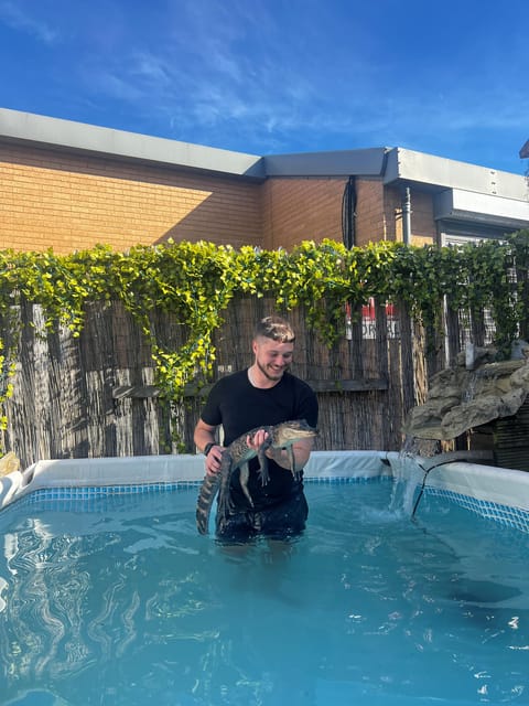 Bristol: Crocodile Swimming Experience with Lunch x2 - A Closer Look at the Experience