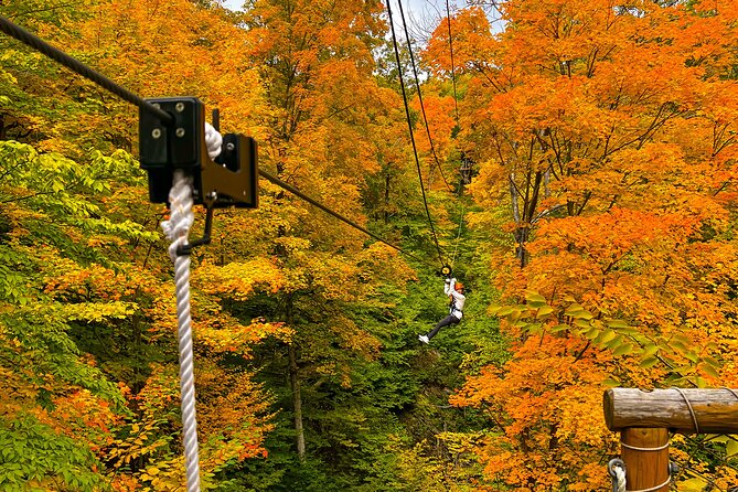 Bristol Mountain Zipline Canopy Activity Review - Booking and Pricing Information