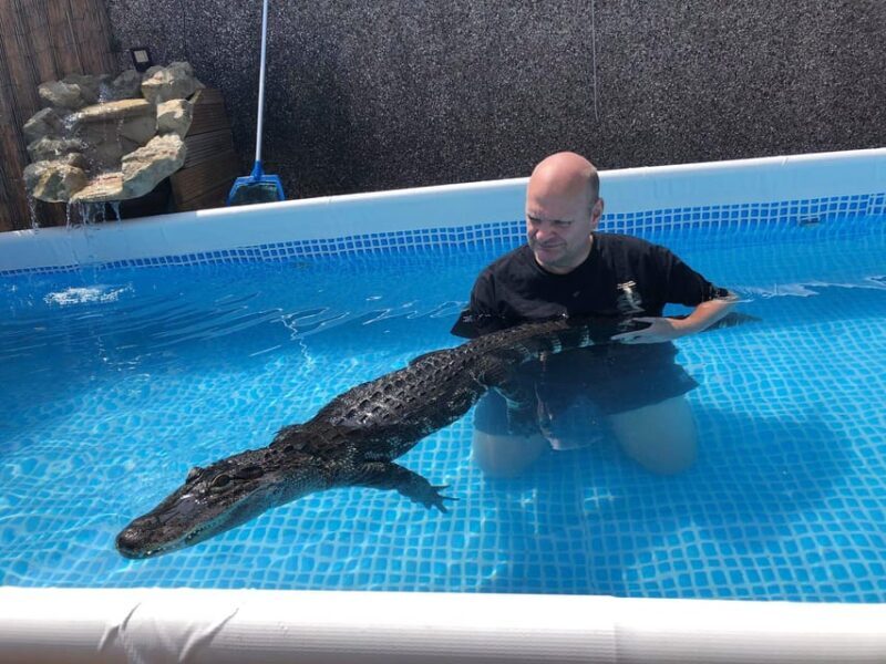 Bristol: Swimming with Crocodiles and Lunch x4 - The Setting and Initial Impressions
