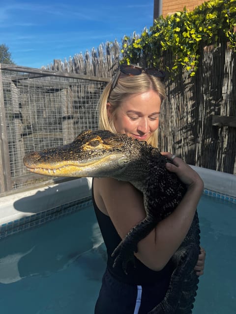Bristol: Swimming with Crocodiles and Lunch x4 - Guided Tour of Crocodiles and Venomous Snakes