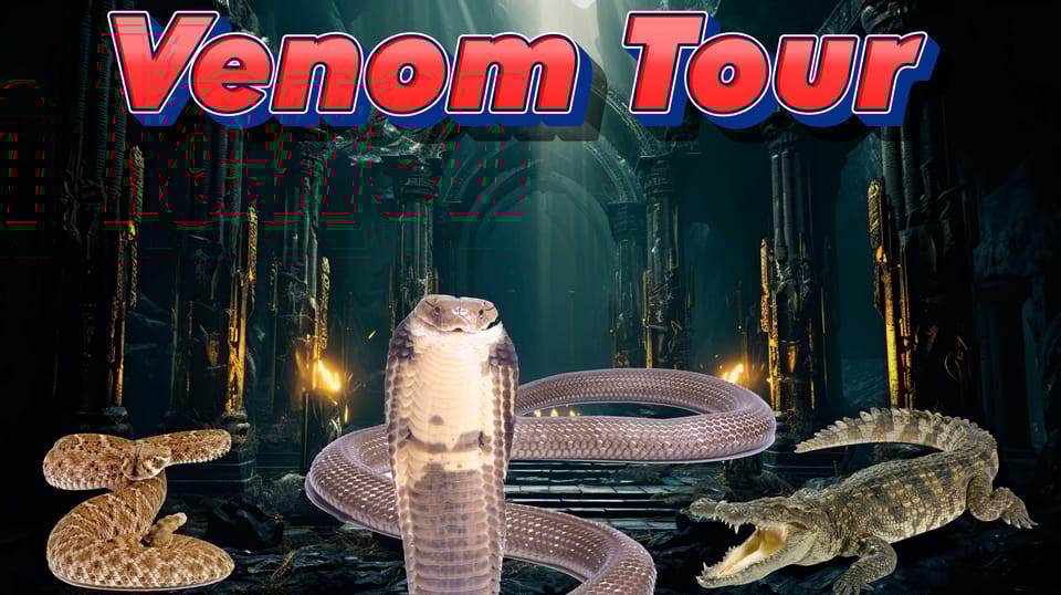 Bristol: Venomous Snake Tour with Reptile Photo - The Sum Up