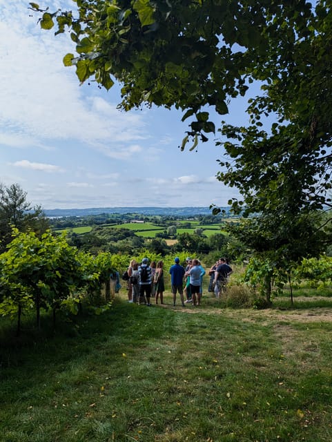 Bristol: Wine & Cheese in the Cheddar Valley - A Scenic Introduction to Somerset’s Wine & Cheese