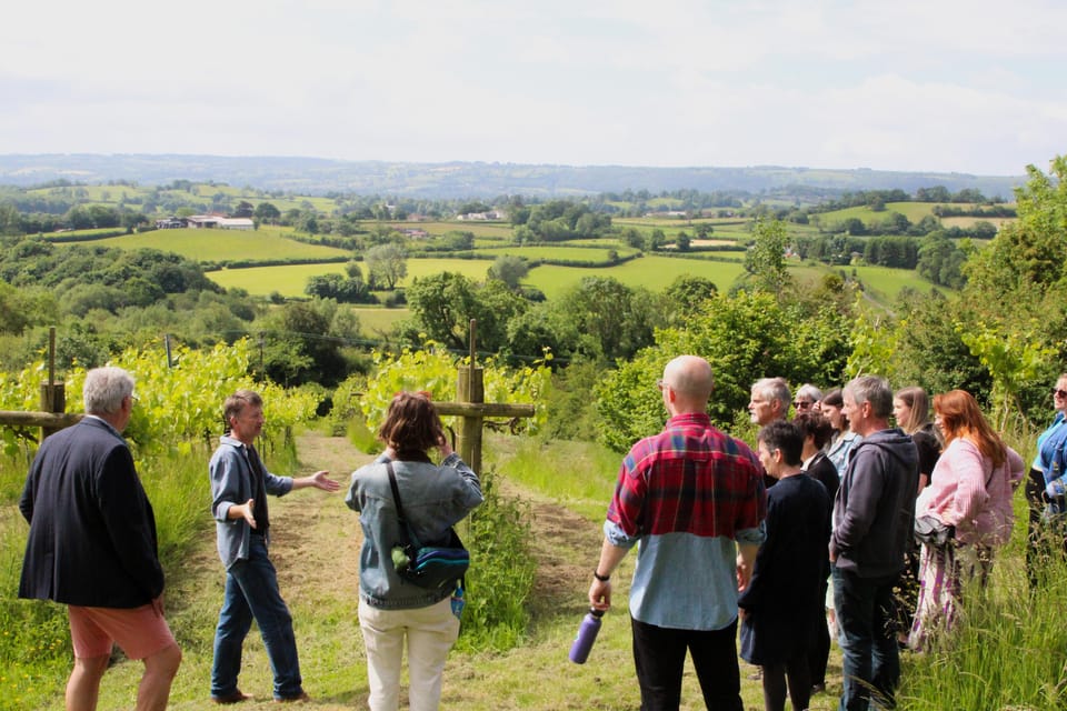Bristol: Wine & Cheese in the Cheddar Valley - A Lunch Like No Other: The Pony Chew Valley