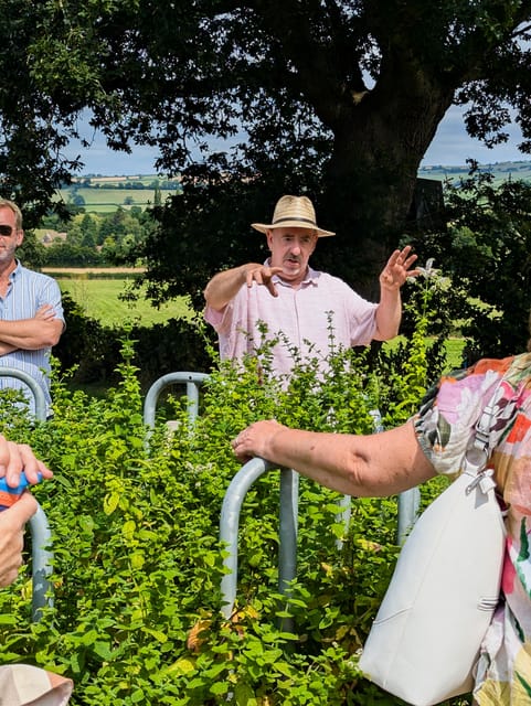Bristol: Wine & Cheese in the Cheddar Valley - Exploring Cheddar and Its Dairy Heritage