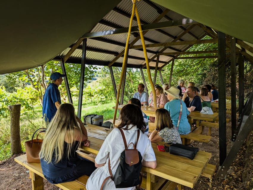 Bristol: Wine & Cheese in the Cheddar Valley - A Final Sip with a View