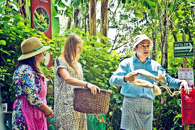 Britt Coffee Tour From San José - What to Expect