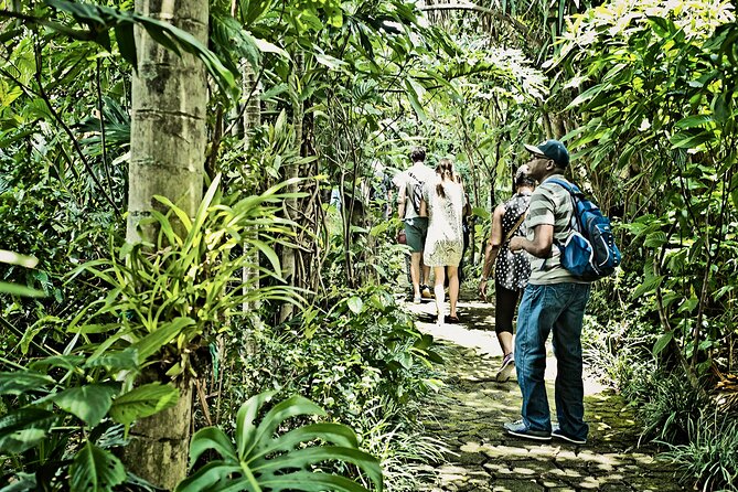 Britt Coffee Tour From San José - Recommendations