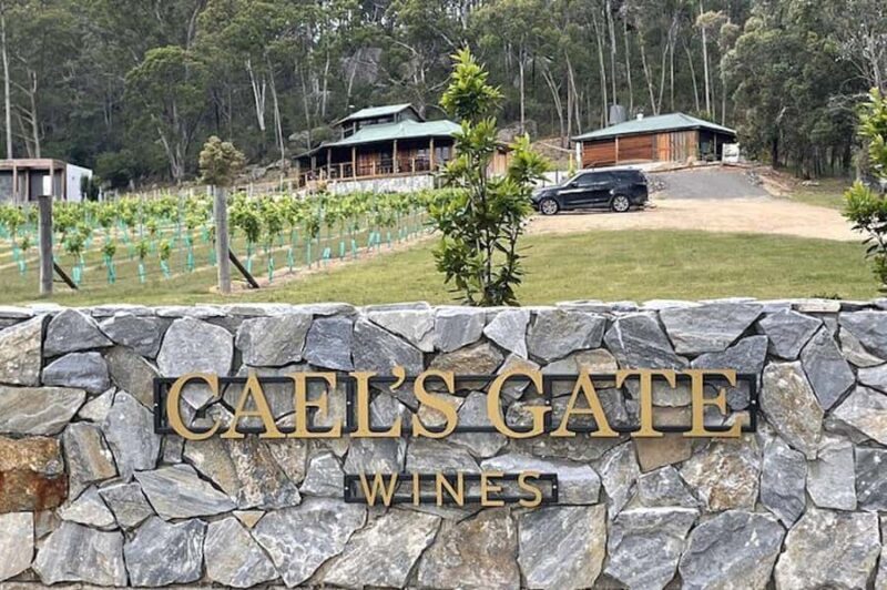 Broke: Cael's Gate Wine and Chocolate Tasting - Key Points