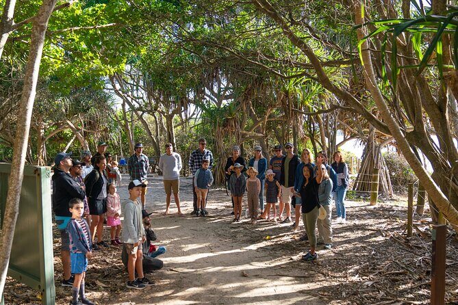 Broken Head Aboriginal Tour - An In-Depth Look at the Broken Head Aboriginal Tour