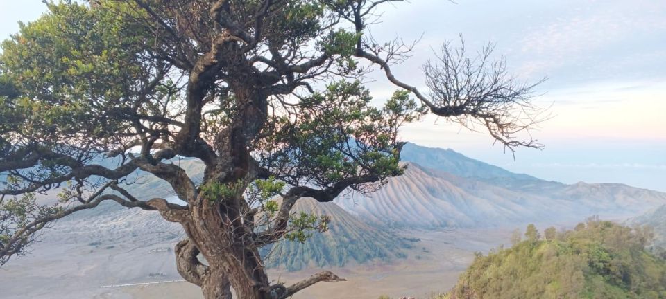 Bromo Ijen Tour From Surabaya 3 Days 2 Nights - Transportation Arrangements