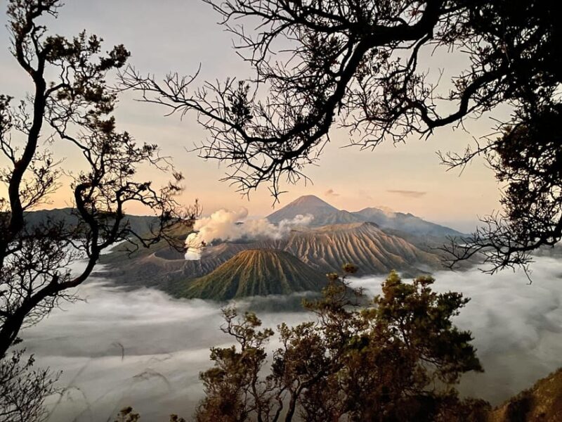 Bromo Tour Package (Shared Group) From Malang - Good To Know