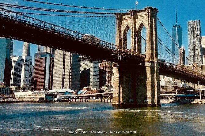 Brooklyn Bridge & DUMBO: Private New York Half-Day Walking Tour - The Sum Up