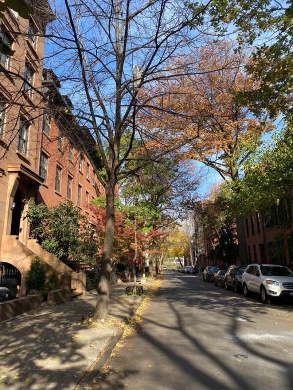 Brooklyn : Brooklyn Heights, DUMBO, The Bridge - Key Points