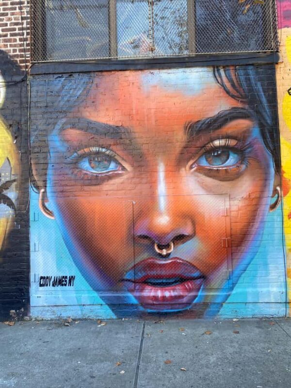 Brooklyn: Bushwick Graffiti Tour - A Walk Through Bushwick’s Graffiti Wonderland