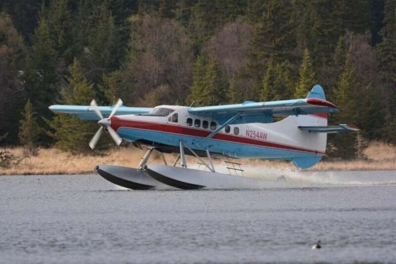 Brooks Falls: Katmai National Park Bear View by Floatplane - Who Will Love This Tour?
