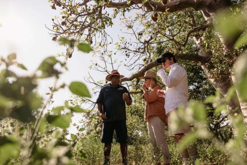 Broome: Cable Beach Indigenous Walking Tour - An Authentic Cultural Glimpse in Broome