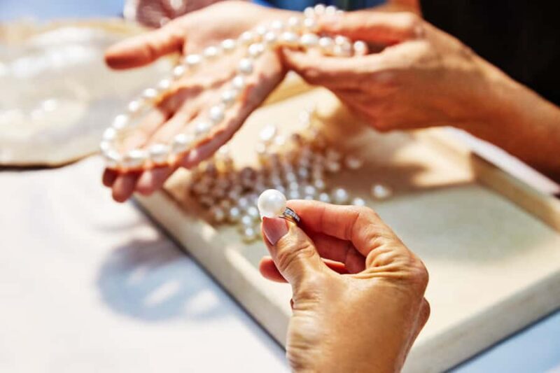 Broome: Cygnet Bay Scenic Flight & Attraction Tour - Key Points