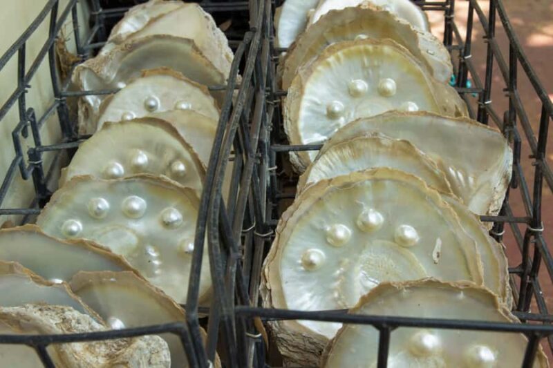 Broome: Dampier Peninsula Tour (Optional Scenic Flight) - Key Points