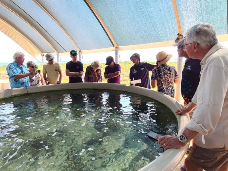 Broome: Dampier Peninsula Tour (Optional Scenic Flight) - The Authentic Experience: Who Should Consider This Tour?