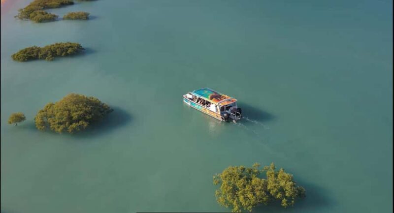 BROOME: DINOSAUR ADVENTURE CRUISE - With Tapas and Cocktail - Final Thoughts