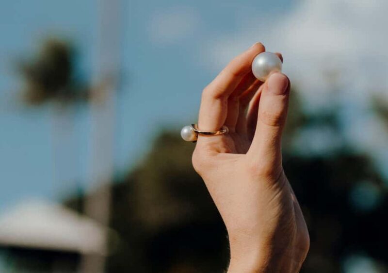 Broome: Helicopter Flight and Willie Creek Pearl Farm Tour - Who Will Love This Tour?