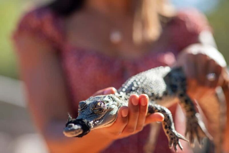 Broome: Matso's Brewery, Museum & Crocodile Park Combo Tour - Key Points