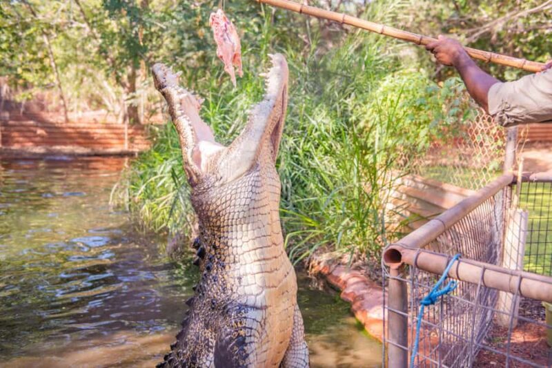 Broome: Matso's Brewery, Museum & Crocodile Park Combo Tour - Logistics and Practical Considerations