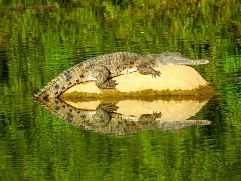 Broome to Darwin: 10 Day Kimberley Tour - What We Loved and What to Consider