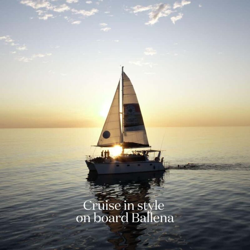Broome's Iconic Catamaran Sunset Cruise - Drinks, Canapés, and the Atmosphere