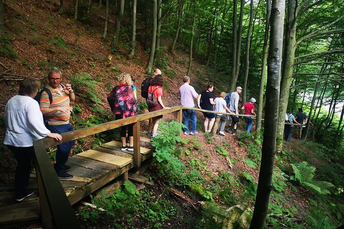 Brown Bears in the wild, no fence - Who Would Love This Tour?