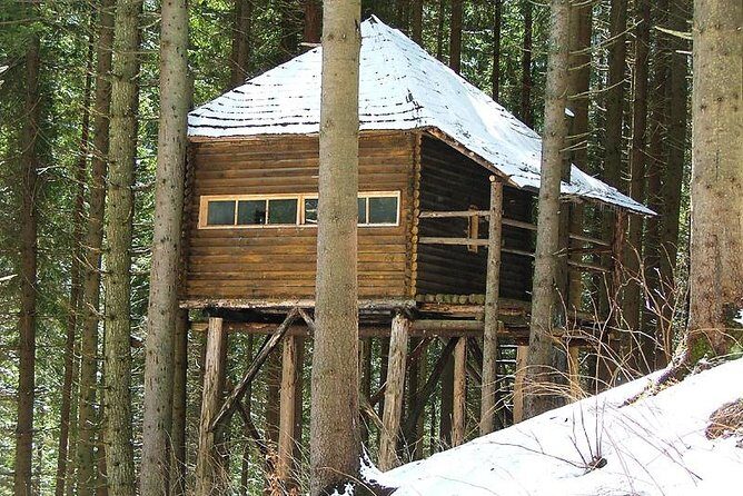 Brown Bears in the wild, no fence - FAQ