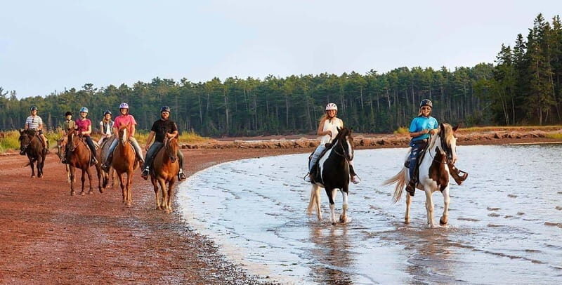 Brudenell: Family-Friendly Horse Ride goes on the Beach - An In-Depth Look at the Experience