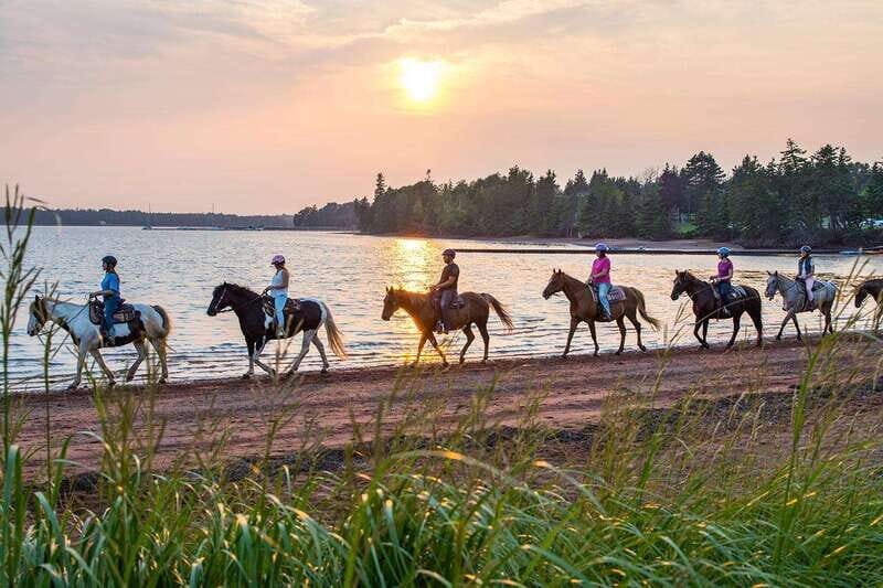 Brudenell: Family-Friendly Horse Ride goes on the Beach - Who Should Consider This Tour?