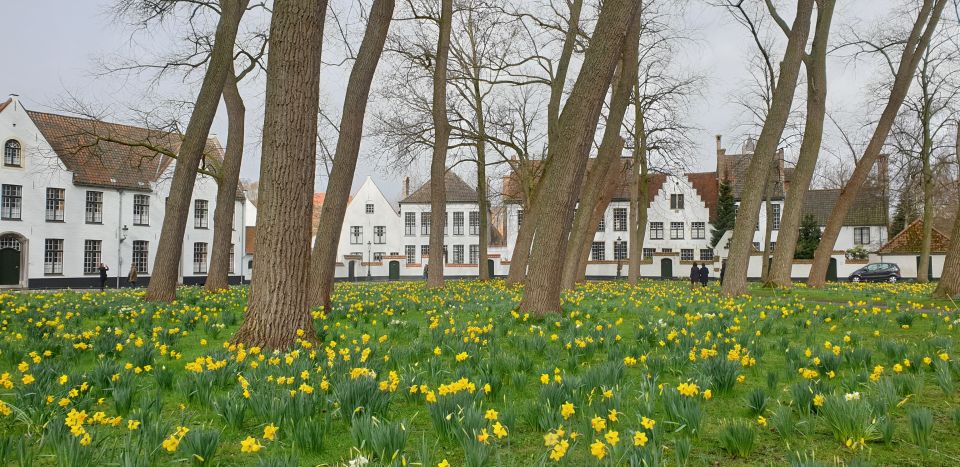 Bruges: 2.5-Hr Walking Tour from train station to Markt - A Detailed Look at the Tour Experience