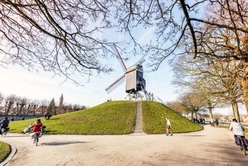 Bruges: Musea Brugge Card with Entry to 11 Museums - The Experience: What You’ll Gain