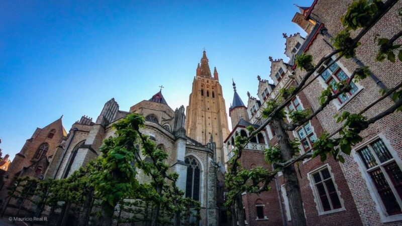 Bruges: Private Historical Highlights Walking Tour - Additional Perks and Practical Tips