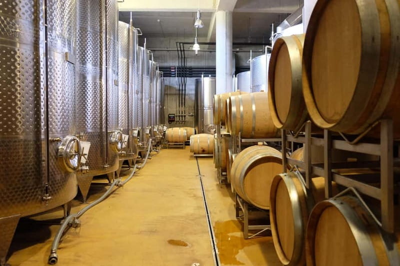 Brunch, balsamic vinegar, and wines: tour of the Emilian hills from Bologna - A Taste of Emilia: What to Expect from This Tour