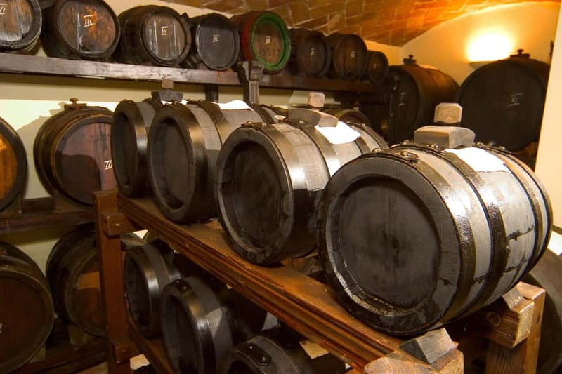 Brunch, balsamic vinegar, and wines: tour of the Emilian hills from Bologna - Who This Tour Is Best For