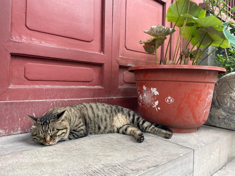 Brunch Tour, Highlights & Hidden Gems of Beijing - Itinerary Details