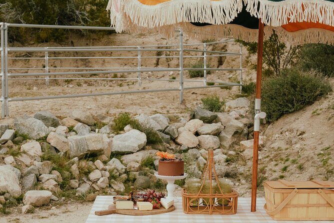 Brunch With Mini Rescue Burros in Southern California - Making Lasting Memories at the Mini Rescue Burro Brunch