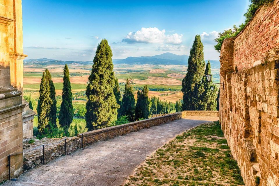Brunello and Montepulciano Wine Tour - Private Experience - Wine Description