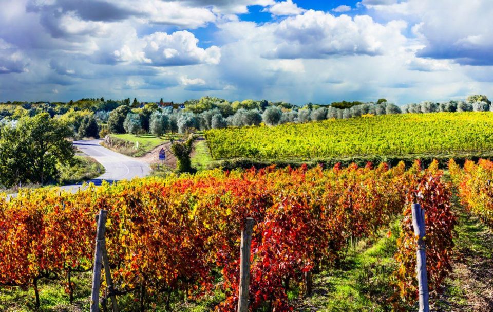 Brunello and Montepulciano Wine Tour - Private Experience - Inclusions