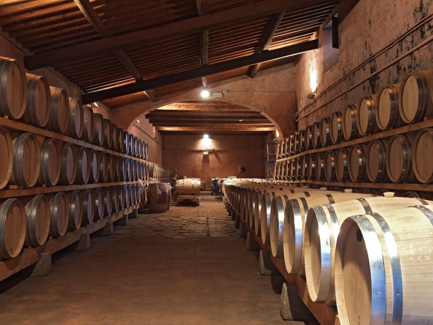 Brunello Di Montalcino Wine Tour From San Gimignano - Estate and Wine Cellar Tour