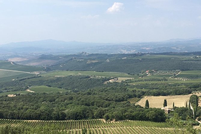 Brunello E-Bike Tour - Exploring the Tuscan Countryside