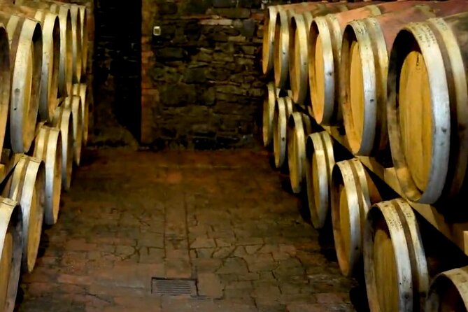 Brunello Wine Tasting From San Gimignano - Itinerary and Activities