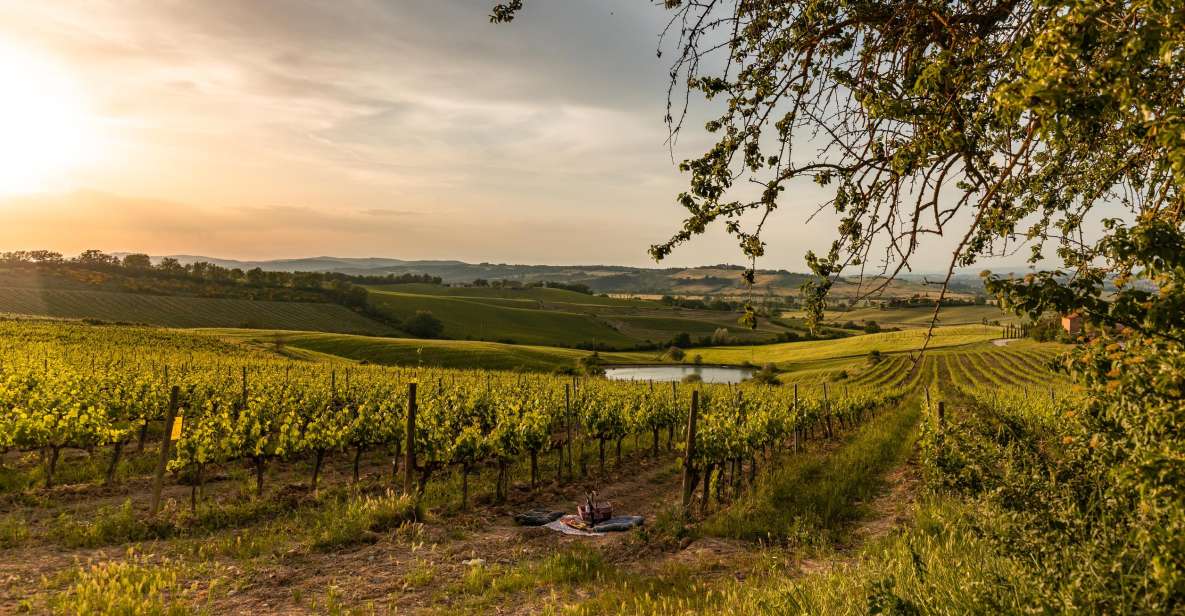 Brunello Wine Tasting With Tipical Tuscan Lunch - Key Points