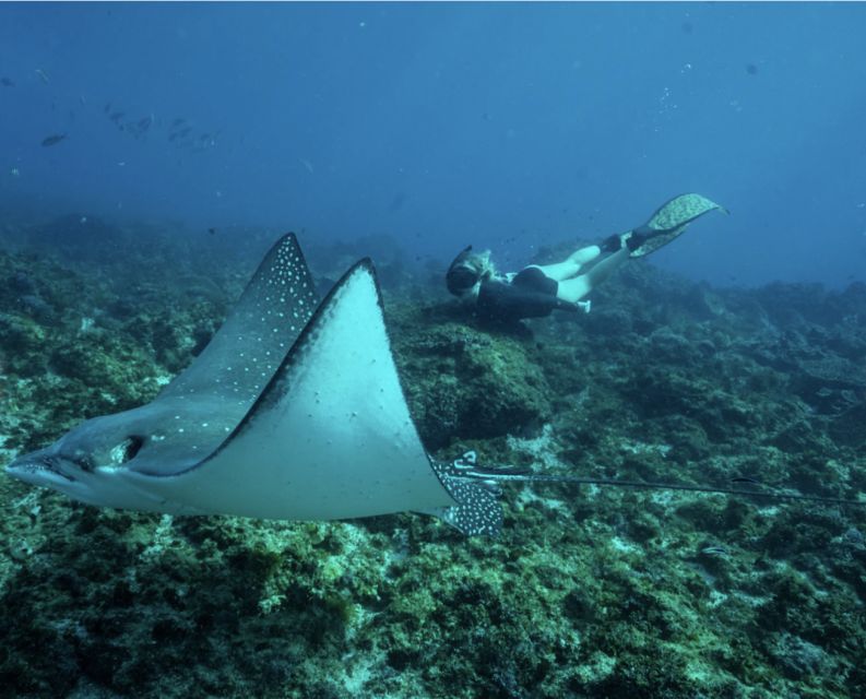 Brunswick Heads: Snorkeling Byron Bay Tour at Julian Rocks - Duration and Inclusions