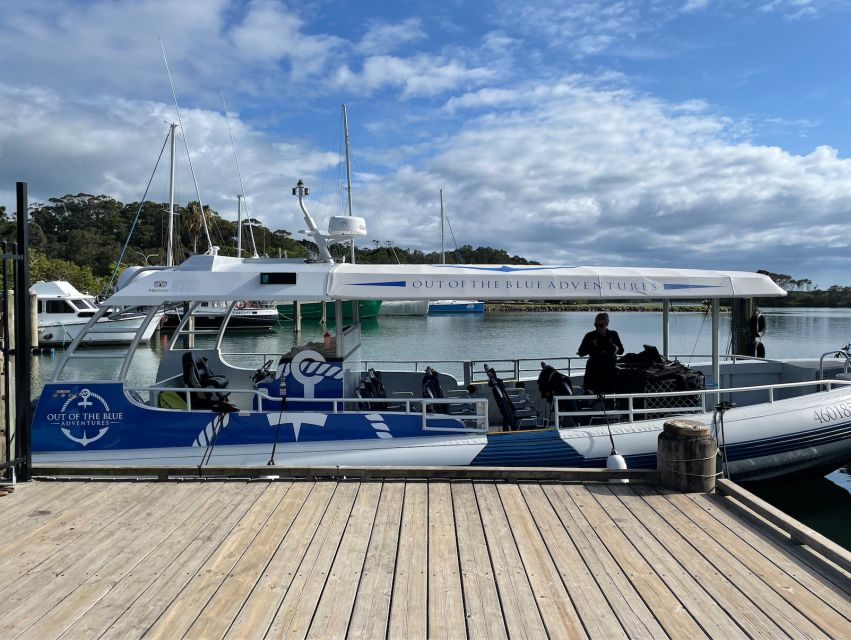 Brunswick Heads: Snorkeling Byron Bay Tour at Julian Rocks - Customer Reviews and Important Information